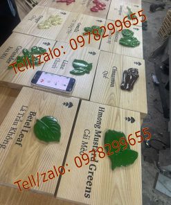 Biển gỗ tên cây trông khu du lịch sinh thái đẹp ấn tượng